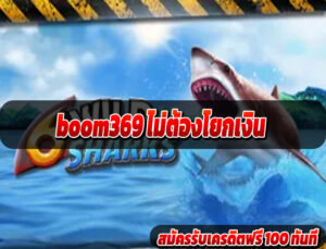boom369 ไม่ต้องโยกเงิน