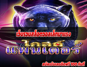 เว็บรวมสล็อตวอลเล็ทมาแรง